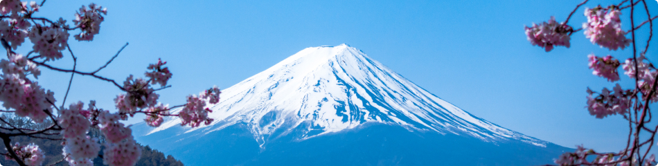 Spedire un pacco in Giappone