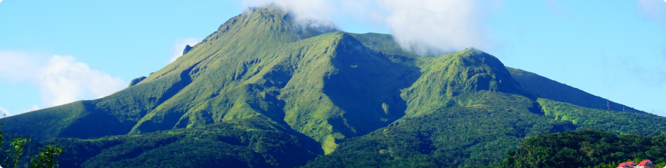 Sending a parcel to Martinique