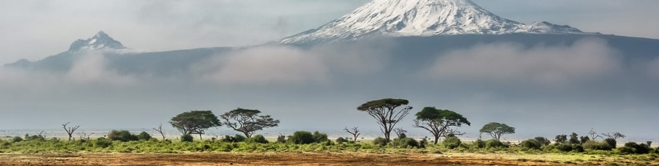 Spedire un pacco in Africa