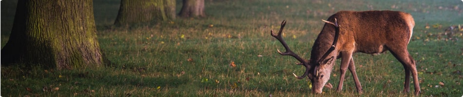 Spedire un pacco in Inghilterra